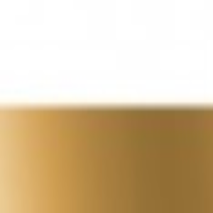 Glossy white/Glossy gold