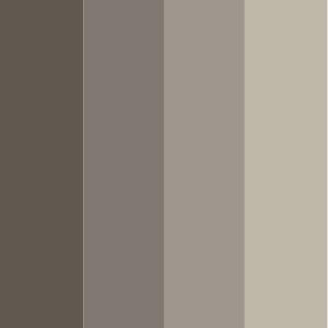 Mud brown, Salt grey, Arena, Platinum