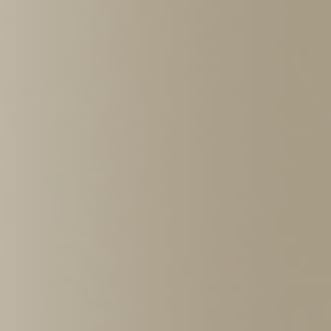 Extra Clear Champagne