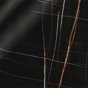 Glossy Saphir Noir porcelain 